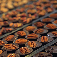 Bruegel et chocolatier