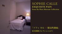 「ソフィ カル ─ 限局性激痛」原美術館コレクションより